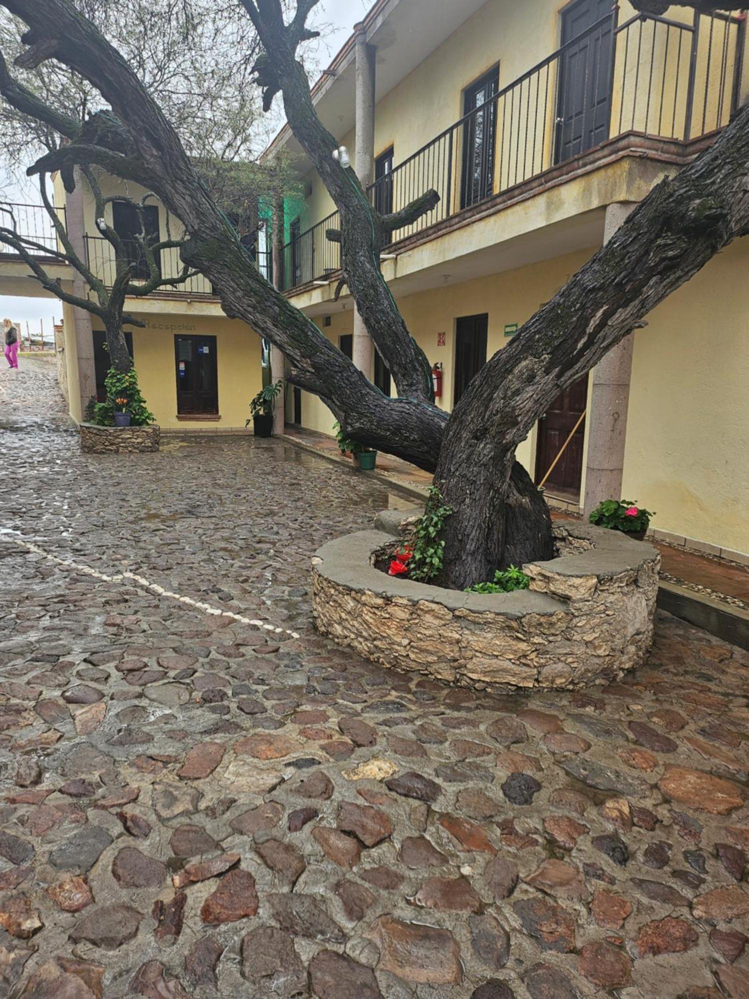 Hotel Villa Aurora Bernal Exterior foto